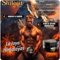 ShilaBoost